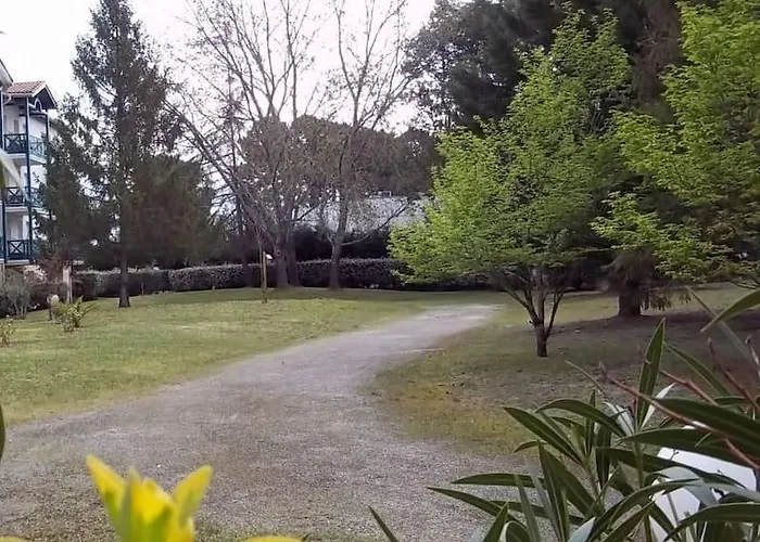 T2 Calme Proche Plages Et Commerces Et 2 Velos Arcachon