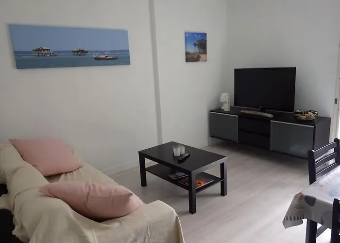 Appartement T2 Calme Proche Plages Et Commerces Et 2 Velos Arcachon